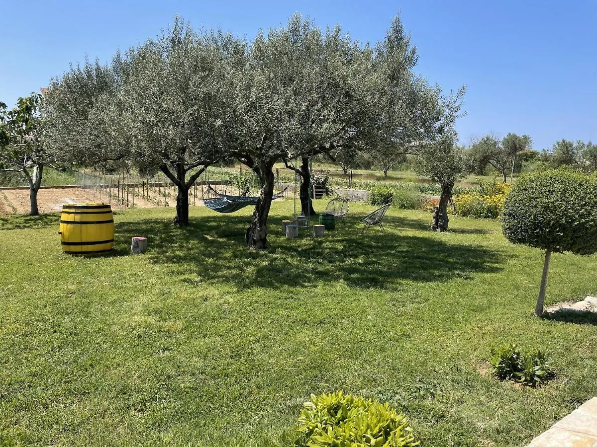 Bed&Breakfast Nada Privlaka  Bed & Breakfast Privlaka (Zadar)